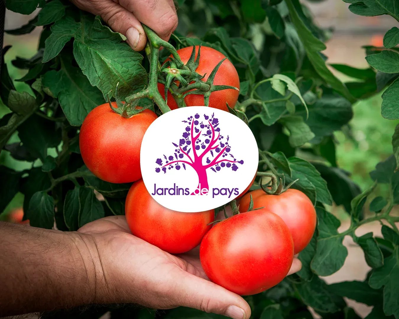 Le logo de Jardins de Pays, notre marque de fruits & légumes locaux