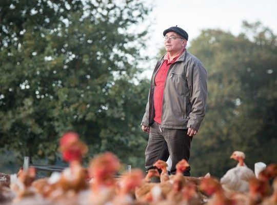 Poulet fermier Géonpis du Sud-Ouest Label Rouge Transgourmet Origine