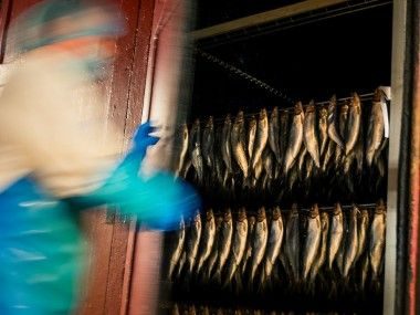 Poissons fumés de JC David Transgourmet Origine