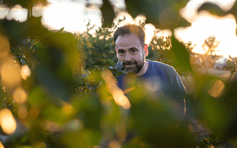 Martin, producteur de citronniers
