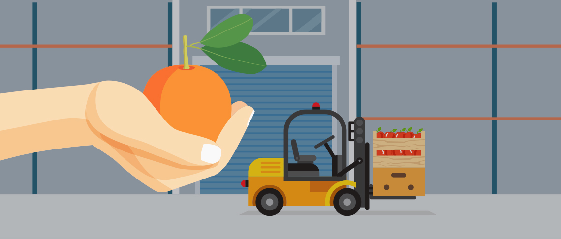 Le tutorat certifié chez Transgourmet