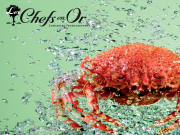 Concours culinaire "Les Chefs en Or" - Transgourmet, grossiste alimentaire