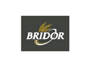 BRIDOR
