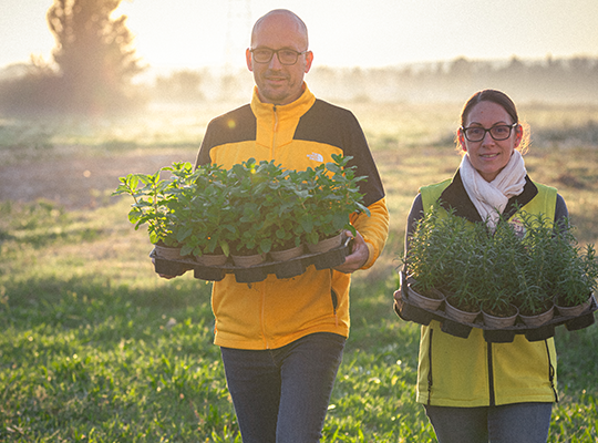 Transgourmet | Transgourmet Origine - Les herbes aromatiques de Provence