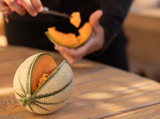 Transgourmet - Les melons de Cavaillon et les fraises de Carpentras Transgourmet - Les melons de Cavaillon et les fraises de Carpentras