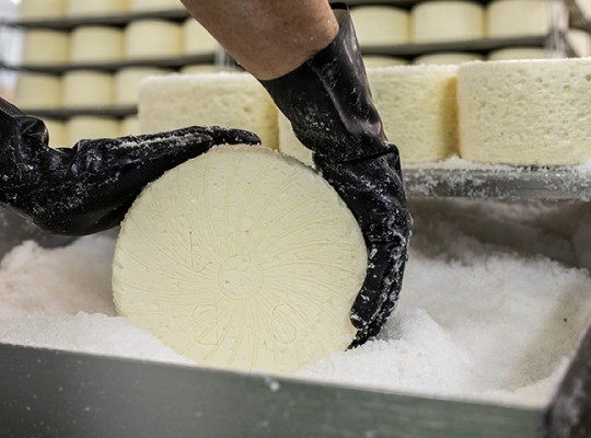 Roquefort de la famille Coulet - Transgourmet Origine