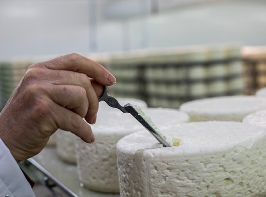 Roquefort de la famille Coulet - Transgourmet Origine