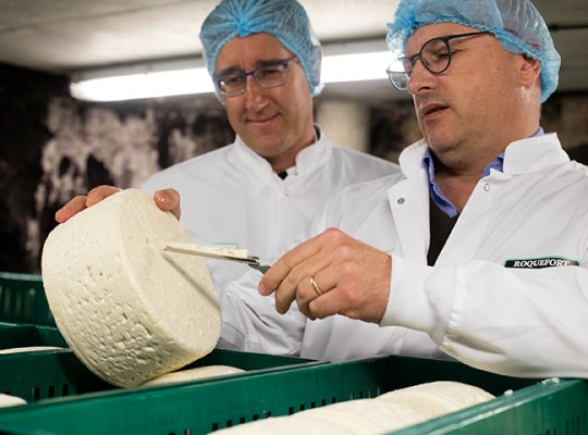 Roquefort de la famille Coulet - Transgourmet Origine