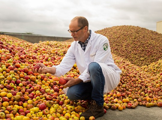 Cidre de Bretagne bio IGP - Transgourmet Origine