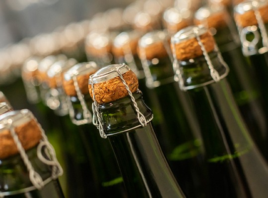 Cidre de Bretagne bio IGP - Transgourmet Origine
