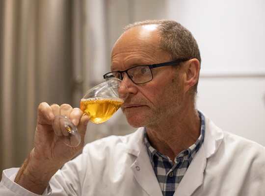 Cidre de Bretagne bio IGP - Transgourmet Origine