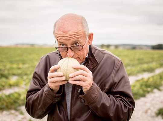 Melon Charentais IGP du Haut Poitou - Transgourmet Origine