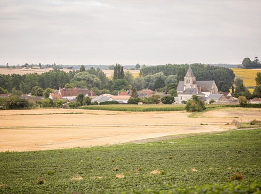Melon Charentais IGP du Haut Poitou - Transgourmet Origine