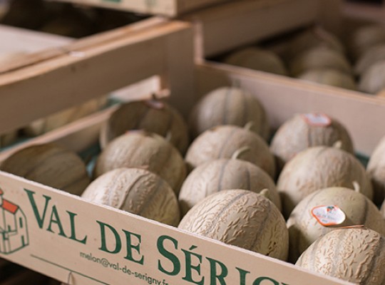 Melon Charentais IGP du Haut Poitou - Transgourmet Origine