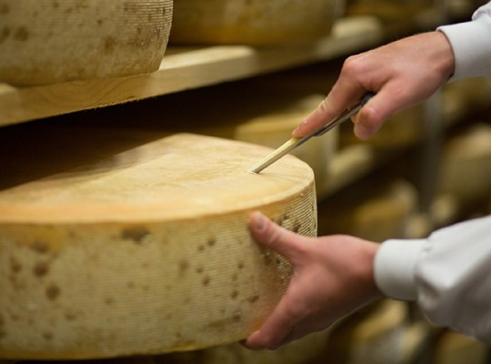 Tome des Bauges AOP de Savoie - Transgourmet Origine