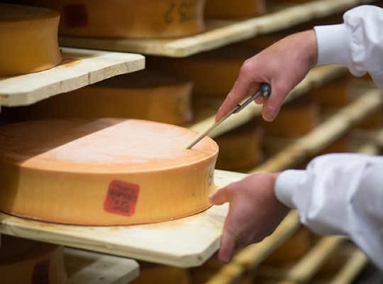 Abondance réserve AOP de Groisy - Transgourmet Origine
