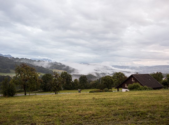 Abondance réserve AOP de Groisy - Transgourmet Origine