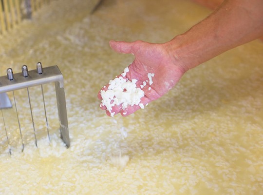 Abondance réserve AOP de Groisy - Transgourmet Origine