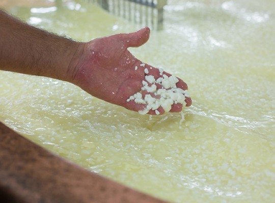 Tome des Bauges AOP de Savoie - Transgourmet Origine