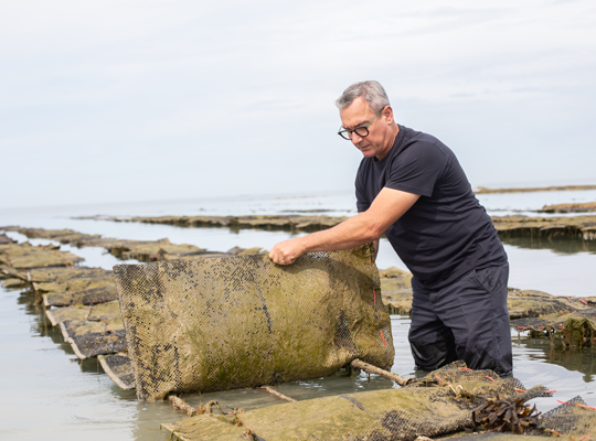 Transgourmet - Moules et Huîtres de Gouville-sur-Mer Transgourmet Origine Transgourmet - Moules et Huîtres de Gouville-sur-Mer Transgourmet Origine