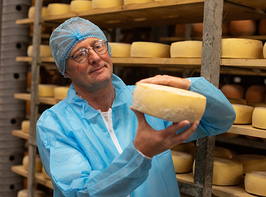 Transgourmet - Tomme de Normandie Transgourmet Origine Transgourmet - Tomme de Normandie Transgourmet Origine