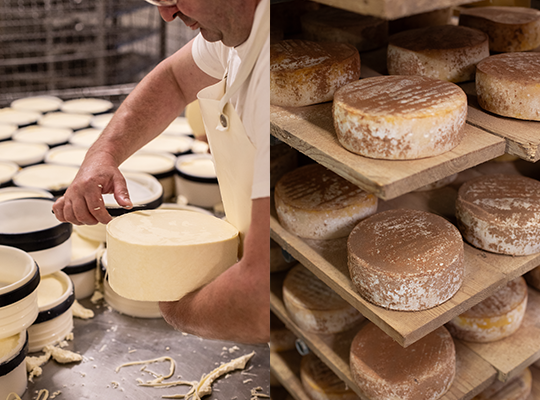 Transgourmet - Tomme de Normandie Transgourmet Origine Transgourmet - Tomme de Normandie Transgourmet Origine