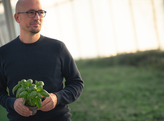 Transgourmet | Transgourmet Origine - Les herbes aromatiques de Provence