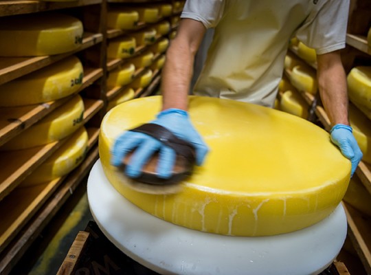 Comté AOP et Morbier AOP de Franche Comté - Transgourmet Origine