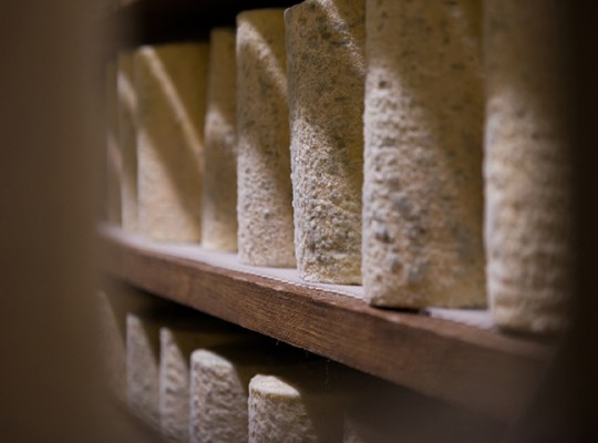 Bleu de Laqueuille et fourme d'Ambert AOP de Laqueuille - Transgourmet Origine