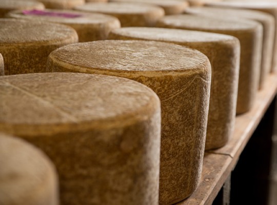 Cantal AOP d'Auvergne - Transgourmet Origine