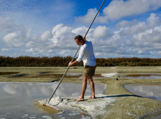 Sel de Batz-sur-Mer - Transgourmet Origine