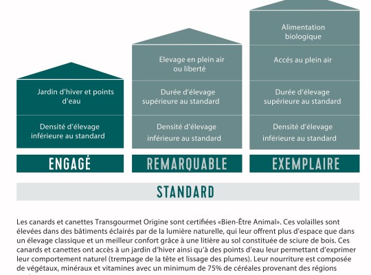 Canards et canettes de Côte-d’Or et Saône-et-Loire - Transgourmet Origine