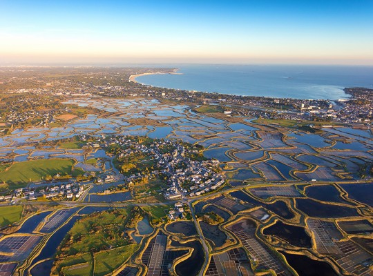 Sel de Batz-sur-Mer - Transgourmet Origine