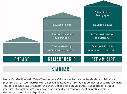 Œufs plein air du Maine Label Rouge - Transgourmet Origine