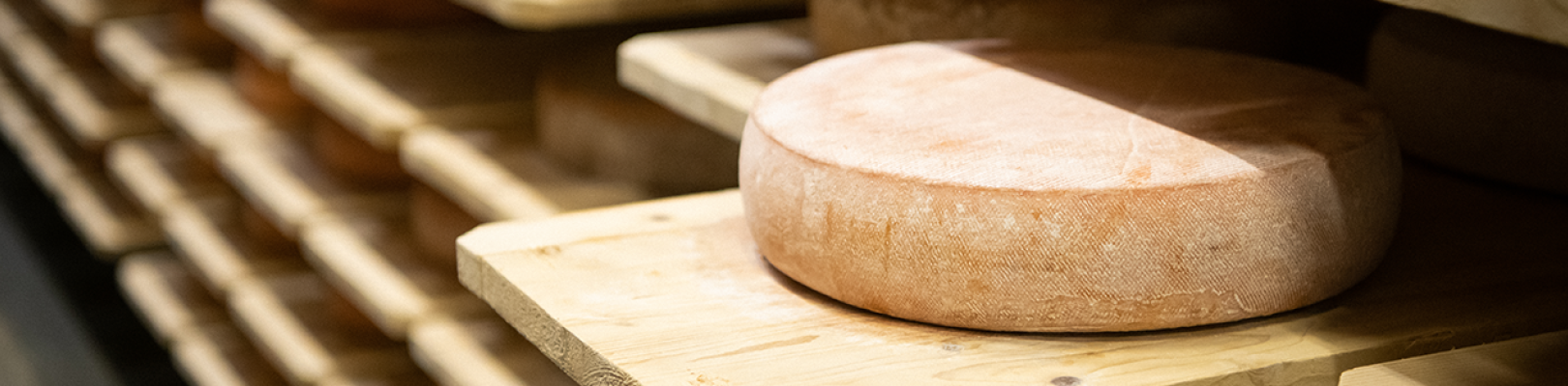 Raclette au lait cru des montagnes savoyardes Raclette au lait cru des montagnes savoyardes