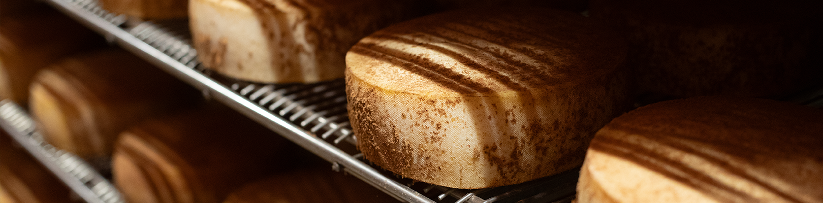 TOMME DE NORMANDIE  TOMME DE NORMANDIE