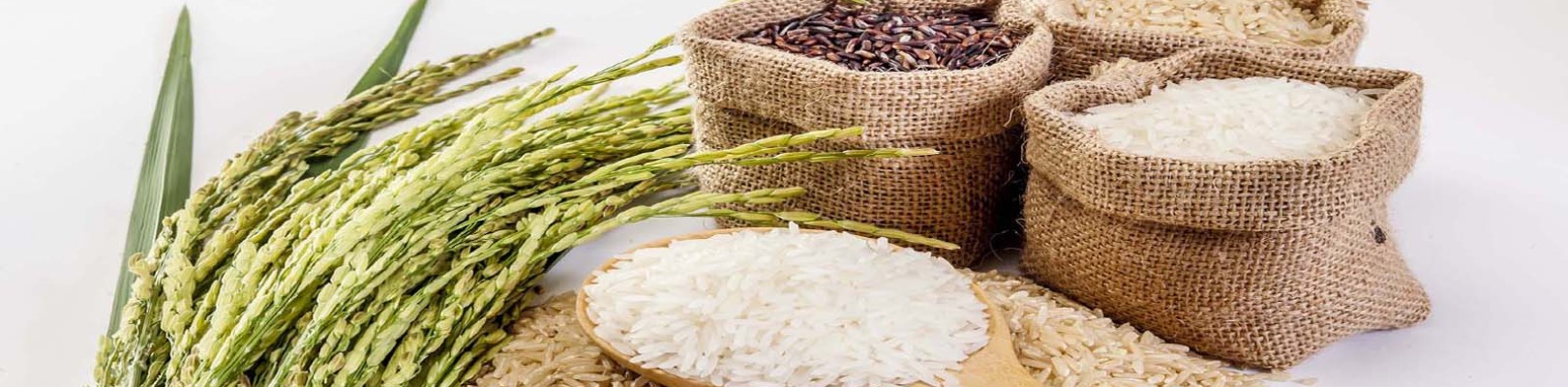 Légumes et Accompagnements