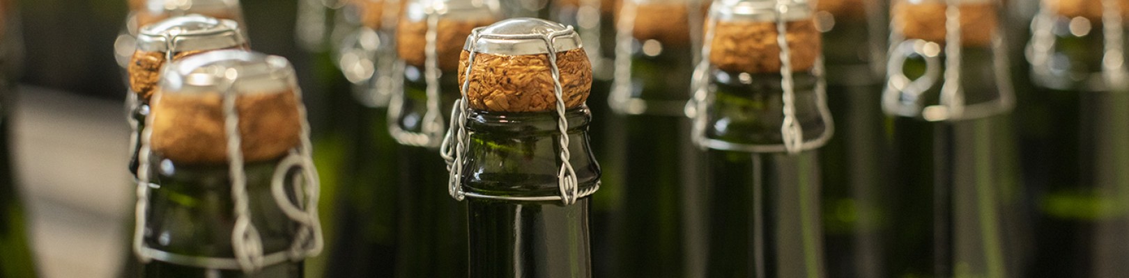 CIDRE DE BRETAGNE BIO IGP
