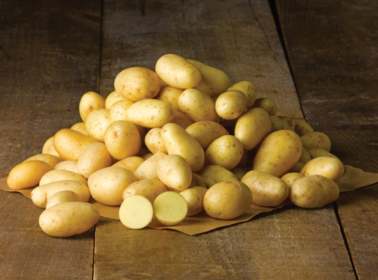Grossiste pommes de terre