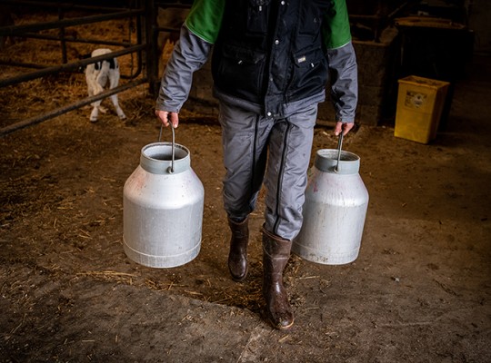 Lait équitable de la vallée de la Loire et de ses affluents - Transgourmet Origine