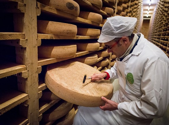 Comté AOP et Morbier AOP de Franche Comté - Transgourmet Origine