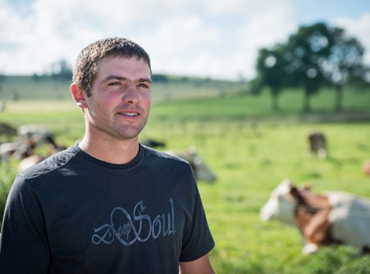 Saint Nectaire affiné sur paille AOP d'Auvergne - Transgourmet Origine