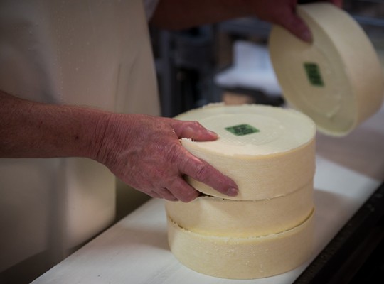 Saint Nectaire affiné sur paille AOP d'Auvergne - Transgourmet Origine