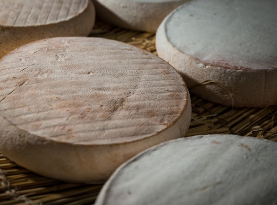 Saint Nectaire affiné sur paille AOP d'Auvergne - Transgourmet Origine