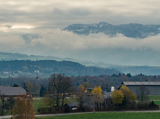 Reblochon AOP de Savoie - Transgourmet Origine