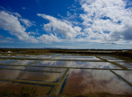 Sel de Batz-sur-Mer - Transgourmet Origine