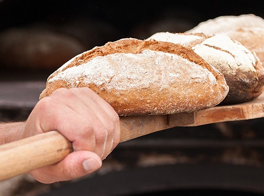 Boulangerie- Transgourmet Cash&Carry, grossiste alimentaire