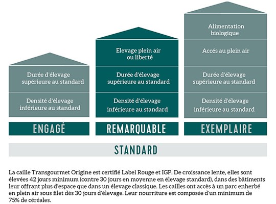 Cailles de Challans IGP Label Rouge - Transgourmet Origine