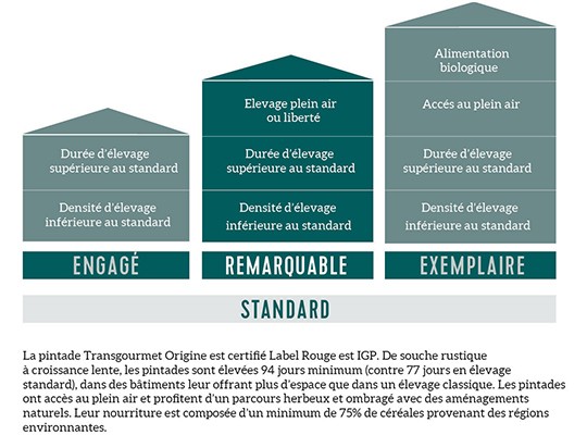 Pintades du Maine IGP Label Rouge - Transgourmet Origine